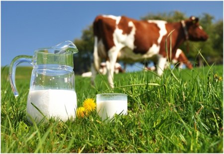 Cеминар на тему: «Управление качеством молока на молочно-товарной ферме»